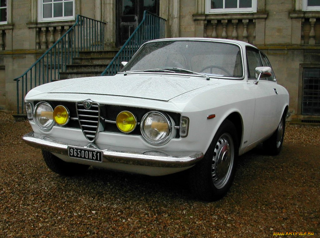 alfa, romeo, gulia, 